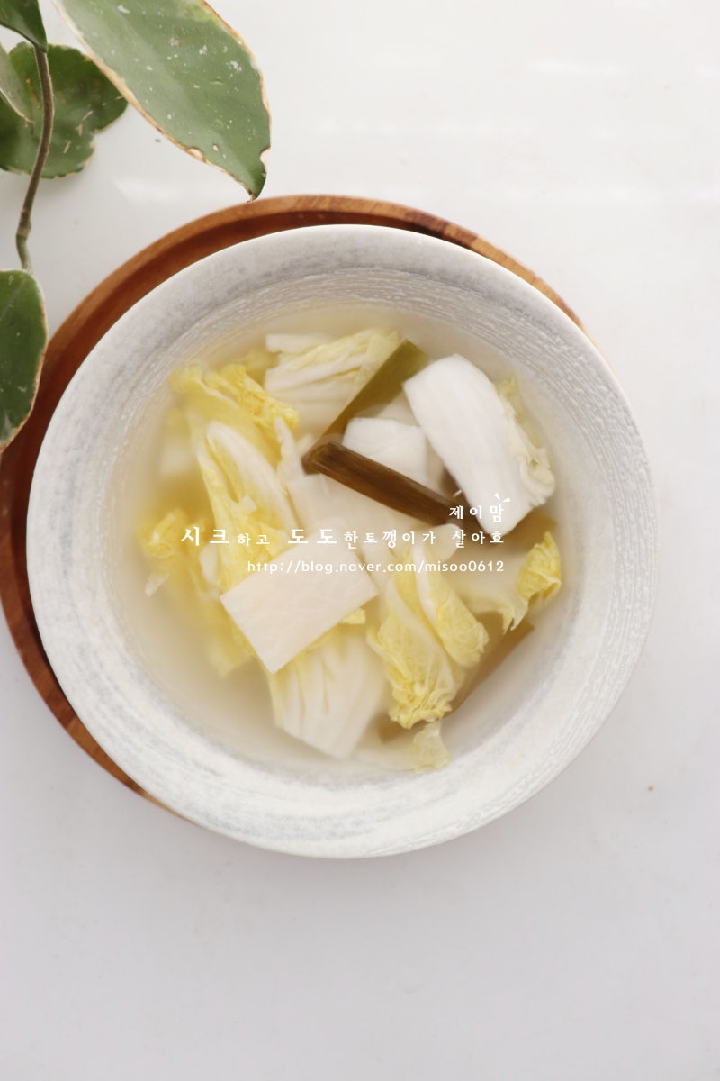 알배기 배추 물김치 담그는법 여름 김치 담그기 레시피 이게 되네?