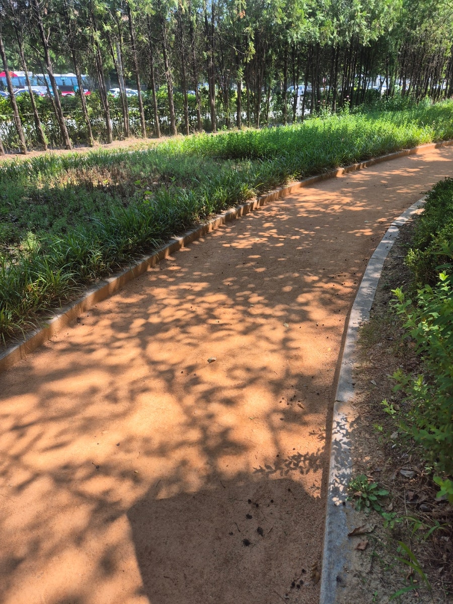황톳길 사진 4