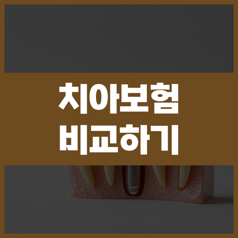 치아보험비교사이트 금액 보장내용 비교 전 확인한 핵심 기준