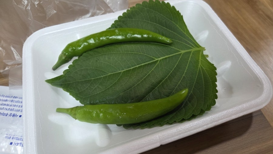 선우수산 사진 5