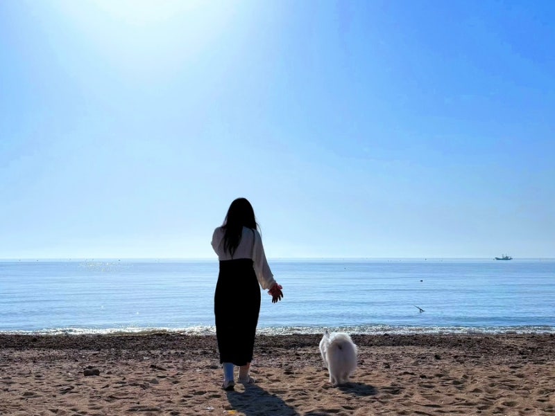 태안 안면도 애견동반 여행 가볼만한 곳 2박 3일 코스 추천