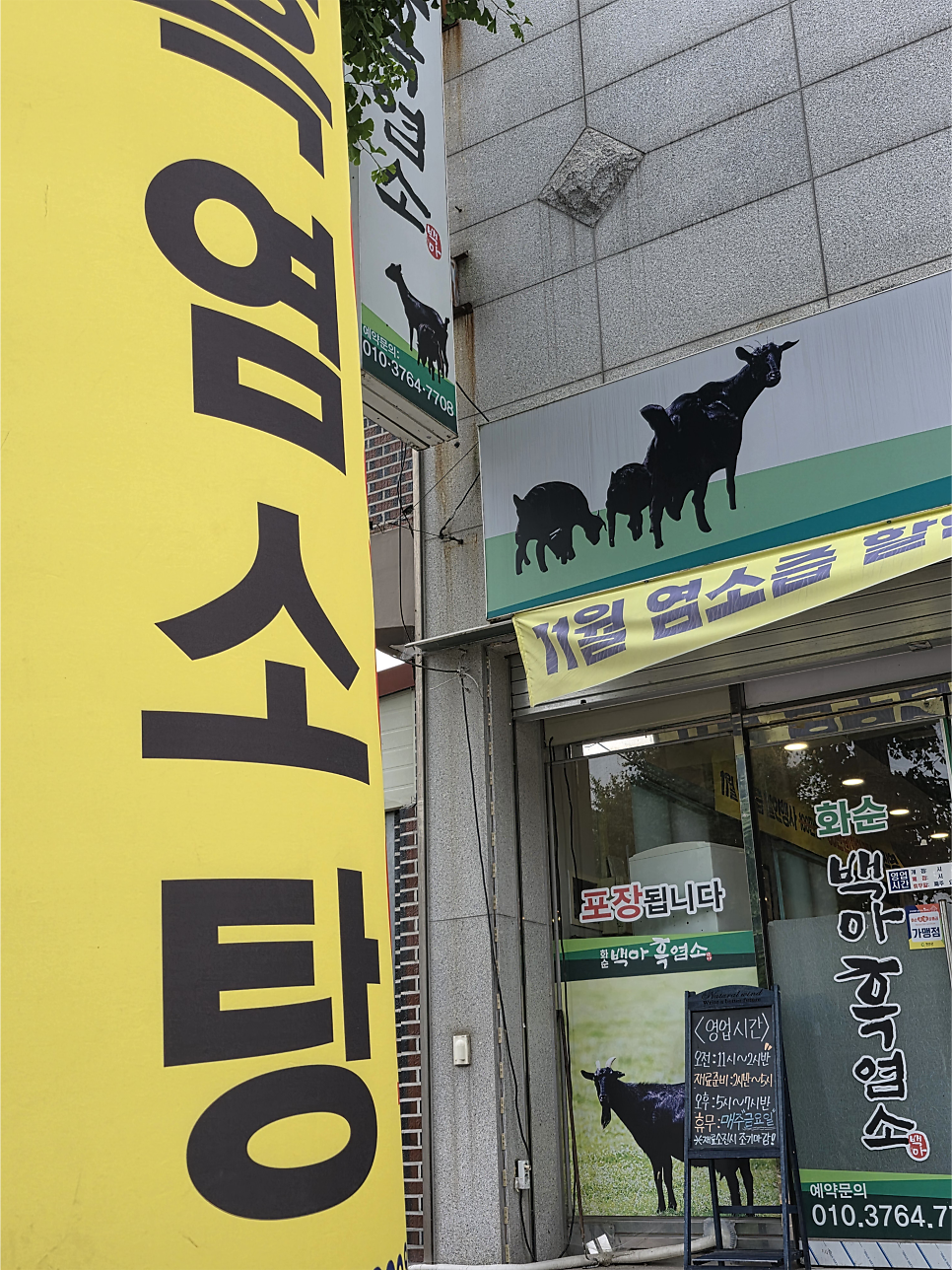 화순백아흑염소 사진 2
