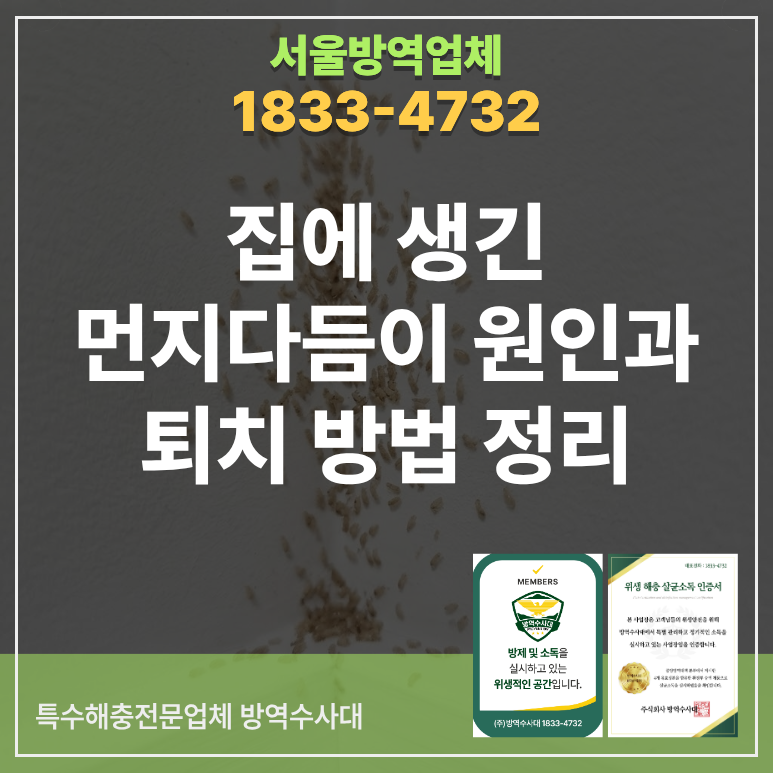 집에 생긴 먼지다듬이 원인과 퇴치 방법 정리