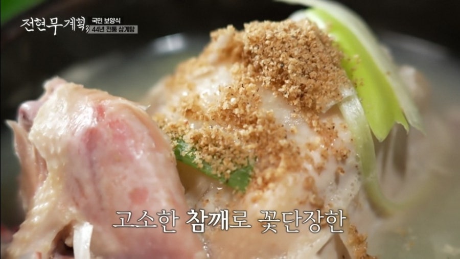 에버그린 사진 3