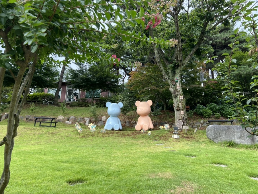 루몽드917 사진 6
