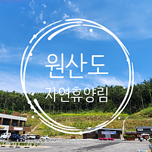 원산도자연휴양림 솔향채1호 (4인) 1박 2일 숙박후기