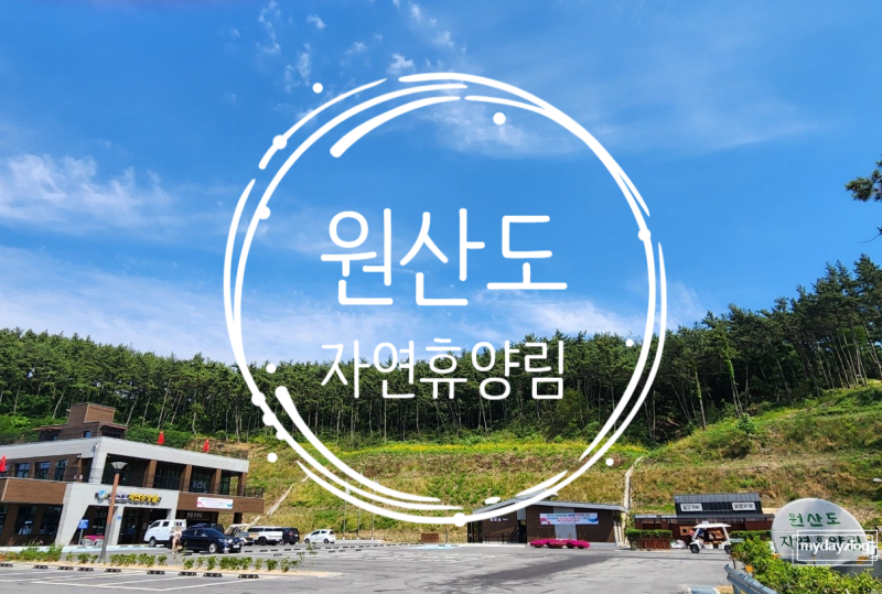 원산도자연휴양림 솔향채1호 (4인) 1박 2일 숙박후기