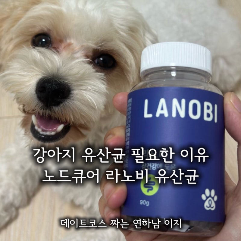 강아지 유산균 영양제를 챙겨야하는 이유 노드큐어 라노비 유산균