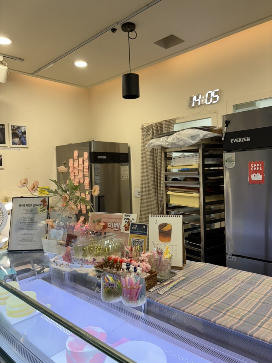 서커스래빗 사진 4