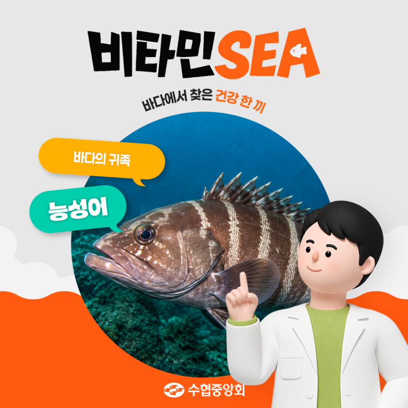 - 바다의 귀족 ‘능성어’
