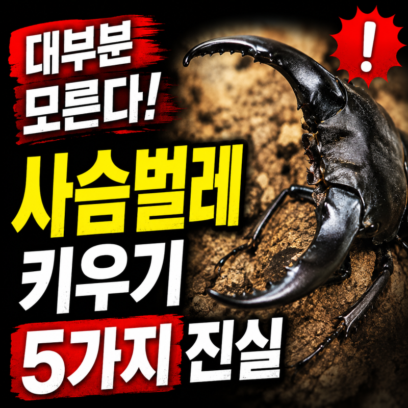 사슴벌레 키우기 대부분 모르는 5가지 사실