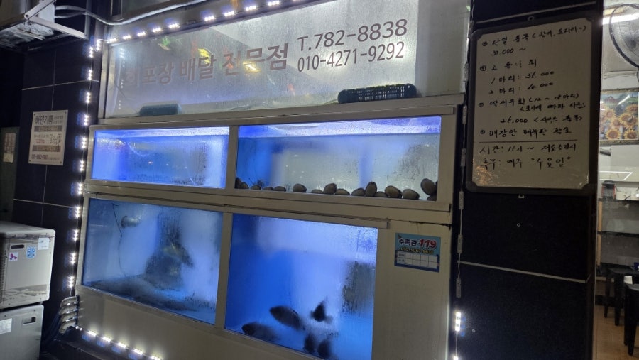 선우수산 사진 3