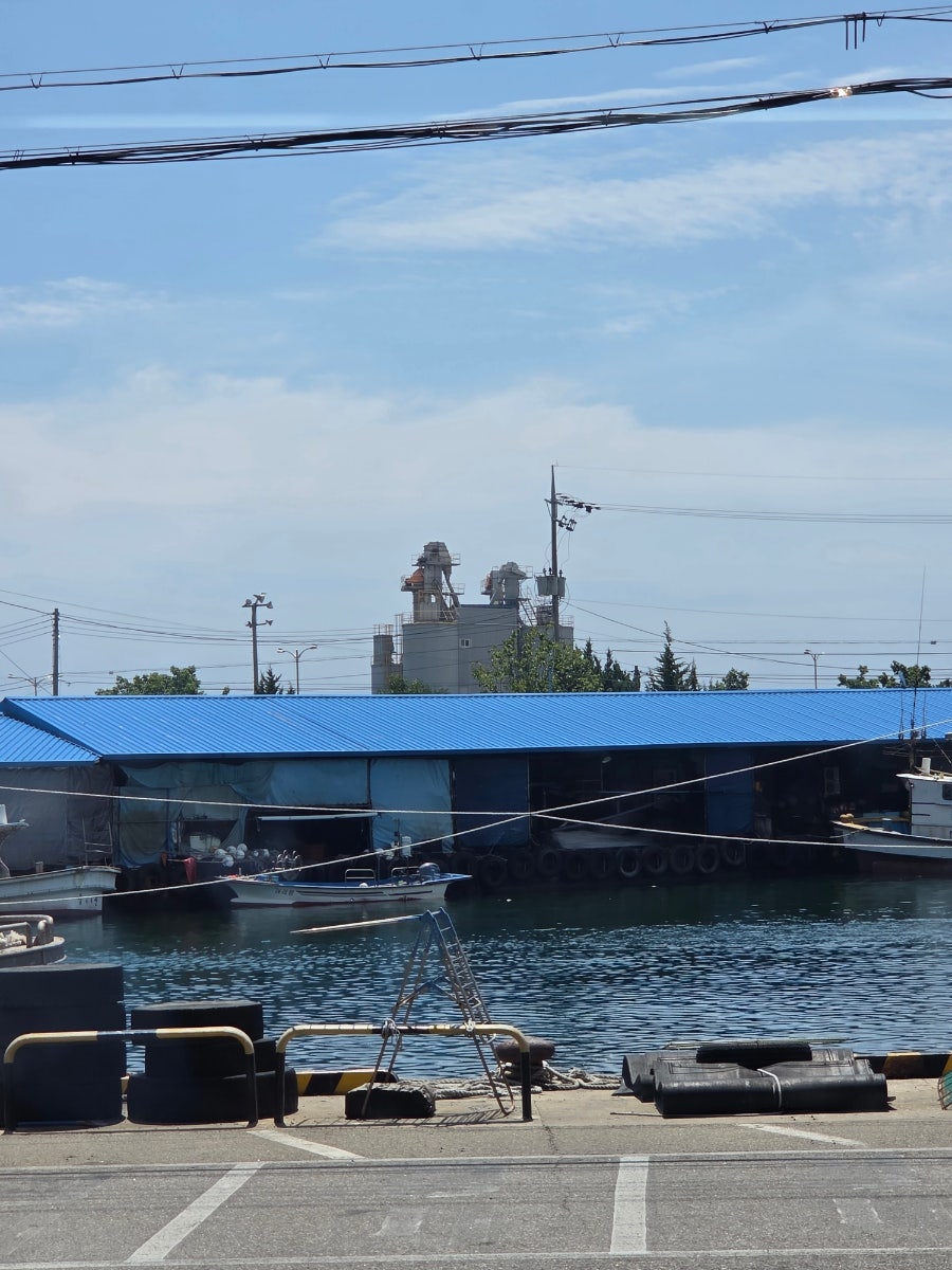 삼척대게본가 사진 6
