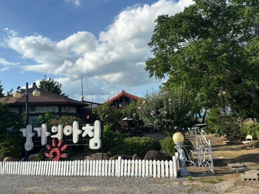 강가의아침 사진 5