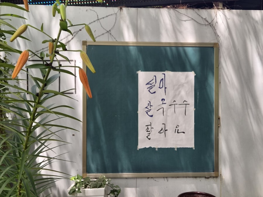 소나무백그릇추어탕 사진 2