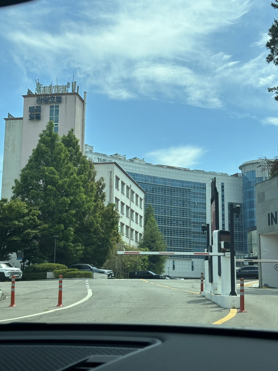 어반 사진 2