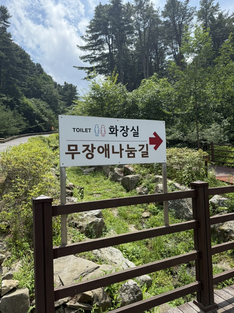 잣향기푸른숲 사진 5
