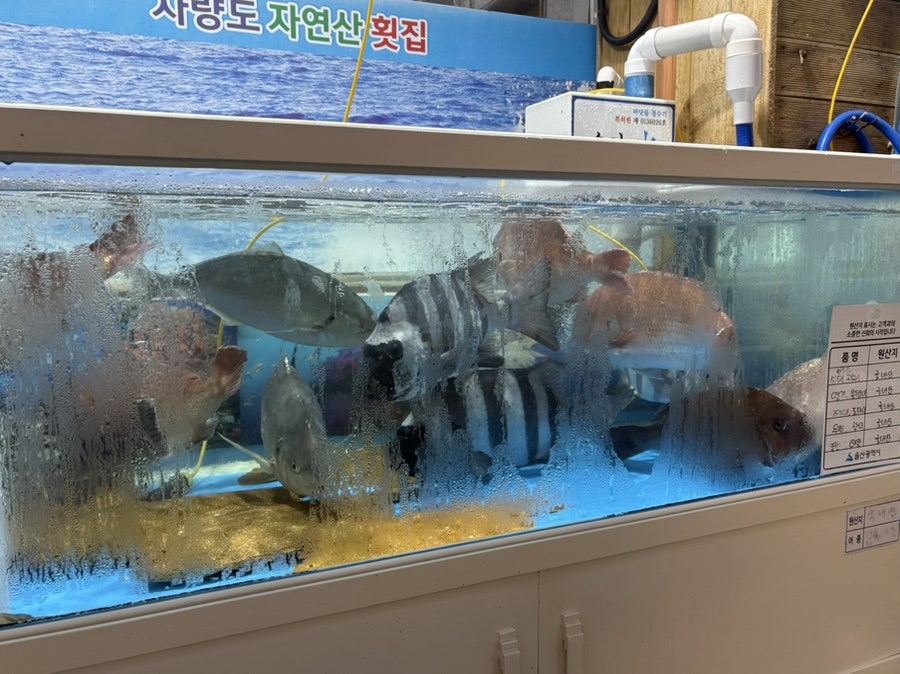 사량도자연산횟집 사진 2