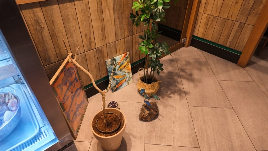 사카바온도 사진 6