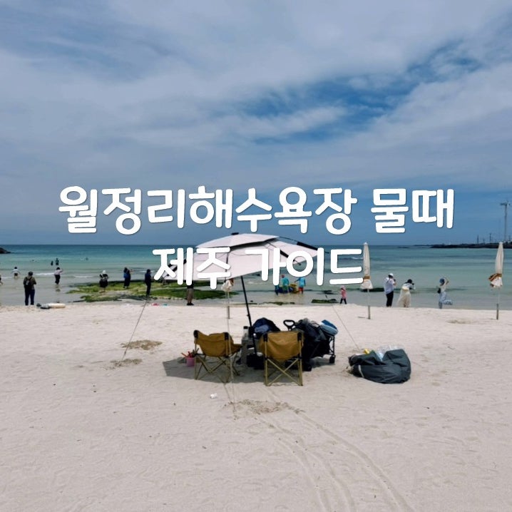 월정리해수욕장 물때 확인법과 알아두면 유용한 바다 이용 정보