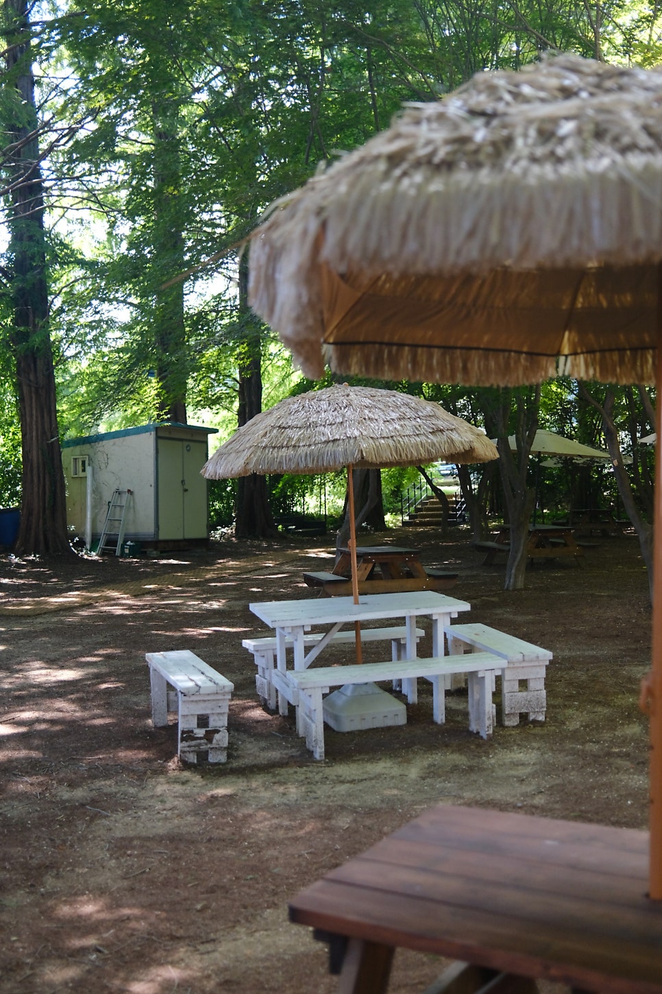 Eosseombeuredeu Paenteurijeom photo 5