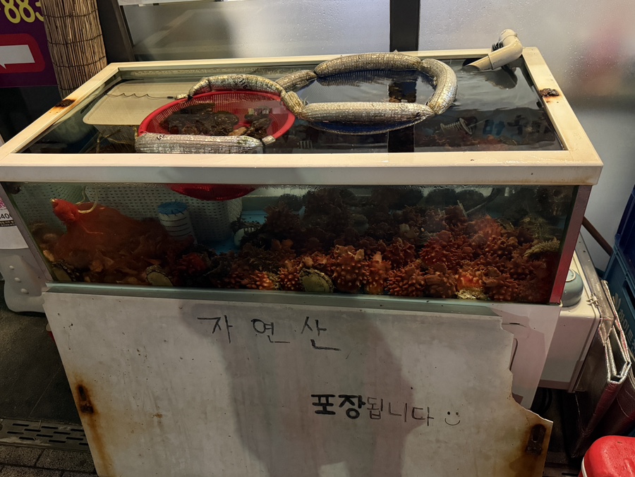 머구리포차 사진 4
