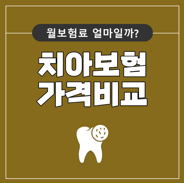 치아보험비교사이트 금액 부담 줄이기 전 보장내용 확인 방법