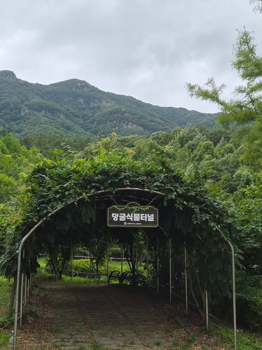 고원화목원 사진 4
