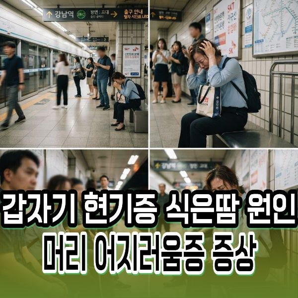 갑자기 현기증 식은땀 원인 5가지 및 머리 어지러움증 증상 정리