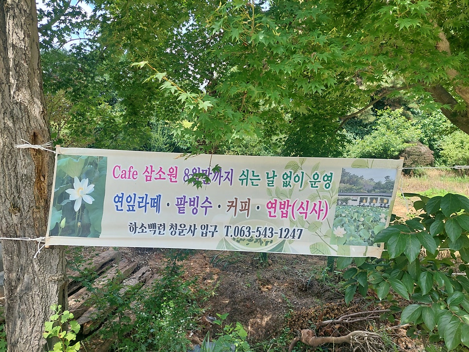 삼소원 사진 5