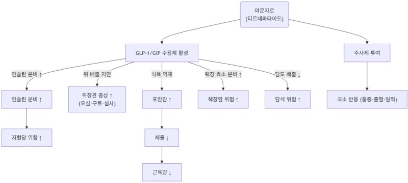 마운자로 부작용 종합 분석 보고서