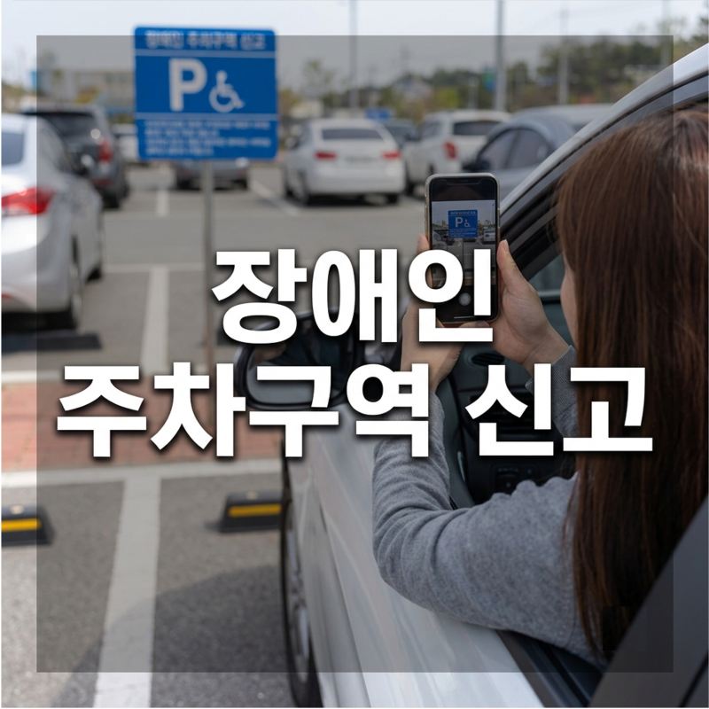 장애인 주차구역 신고 하는 방법 총정리 2026 | 신고 대상 기준·과태료·사진촬영·신고기한 (....