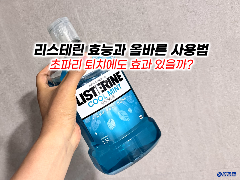 리스테린 초파리 효과 있나? 리스테린 기능과 올바른 사용법, 초파리 퇴치 효과까지 알아봐....