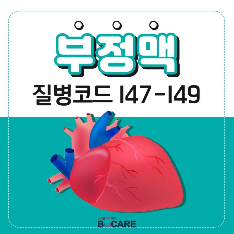 심장이 불규칙하게 뛴다면? 부정맥 증상부터 보험 진단코드(I47~I49)까지 한 번에 정리 부정맥 ....