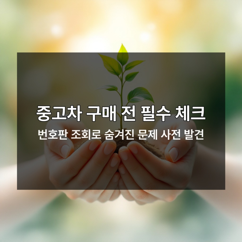 중고차 번호판 조회 안 하면 손해 폭탄 맞는다