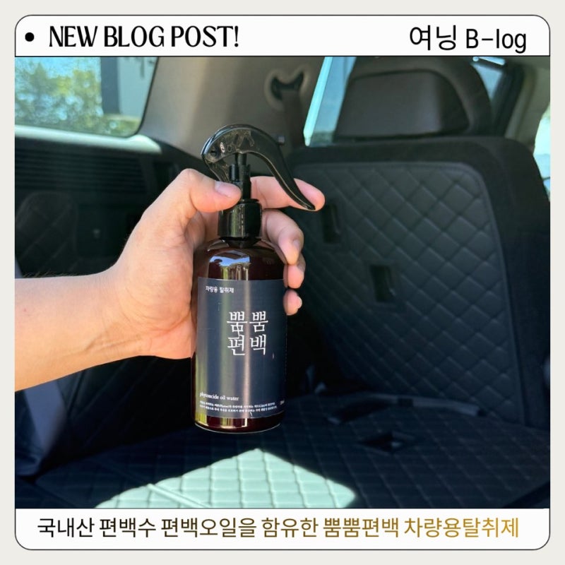 차량용탈취제추천 | 국내산 편백수 편백오일을 함유한 뿜뿜편백 차량용탈취제로 에어컨냄새....