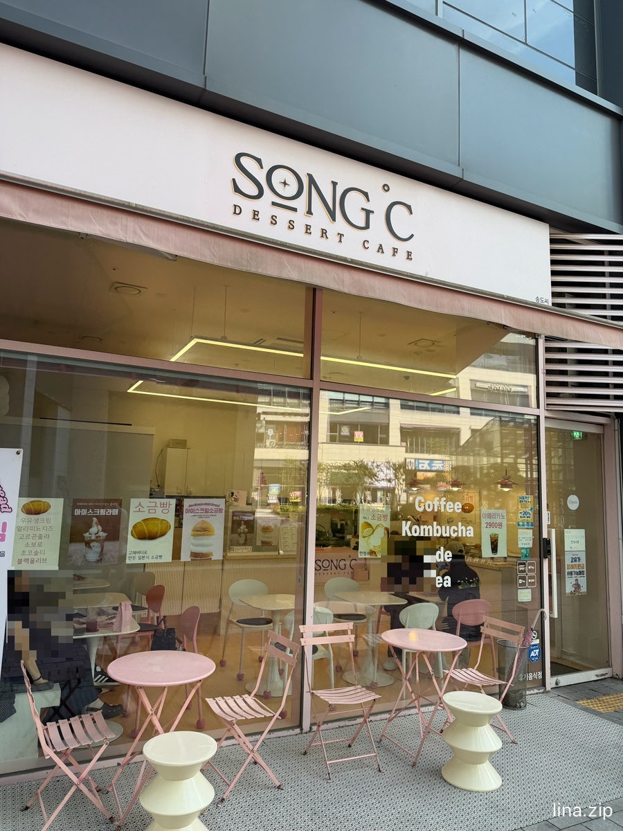 송도씨 사진 2