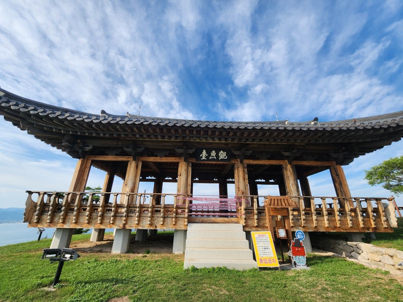 영덕 가볼만한곳 추천 [죽도산 전망대]부터 [상대산 관어대] 모노레일 오픈 정보까지 영덕 여....