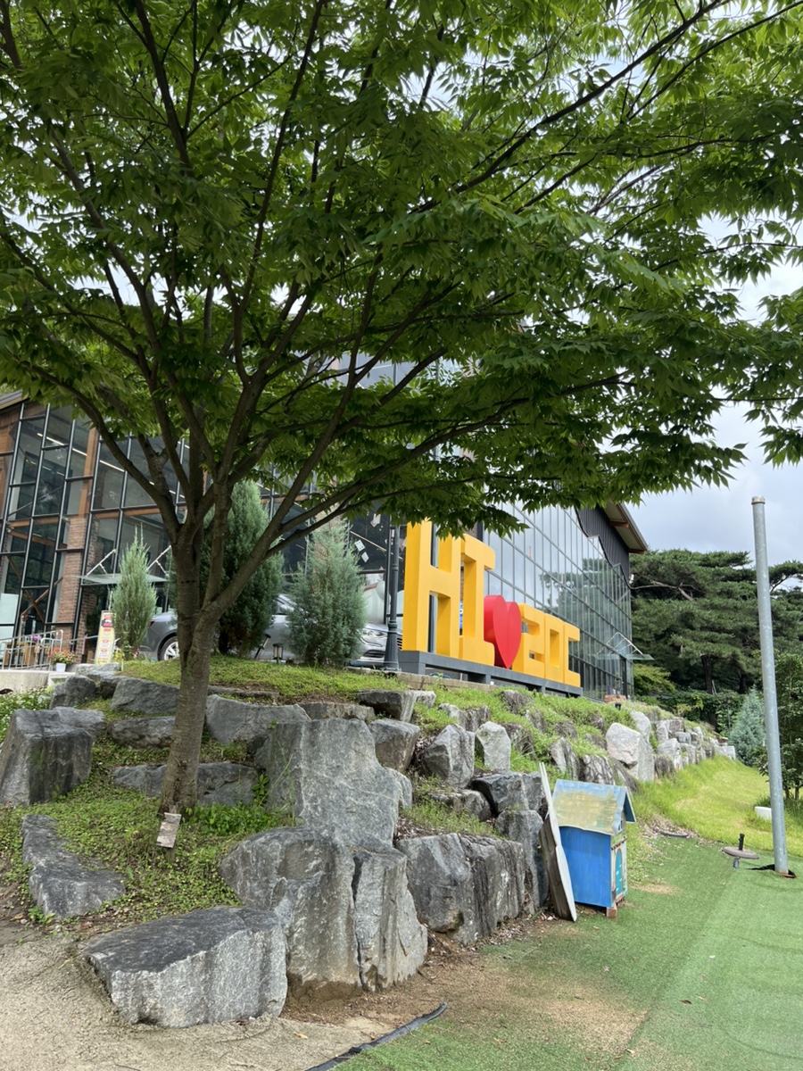 루몽드917 사진 2