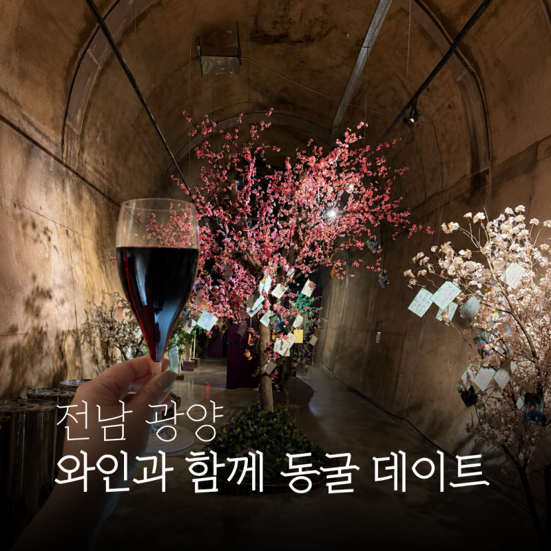 광양 데이트코스 실내 관광지 와인동굴 솔직 후기