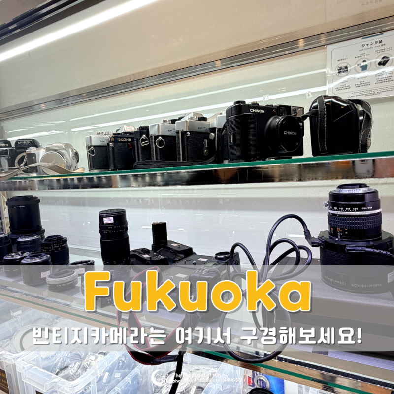 후쿠오카 빈티지카메라 성지! 중고카메라부터 필름까지 한곳에