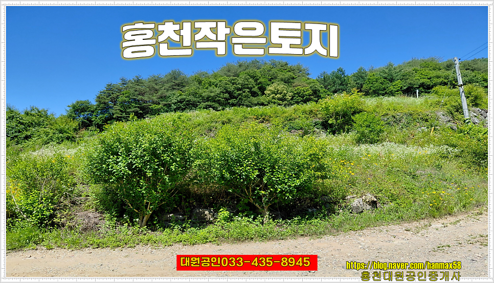 좌운저수지 사진 1