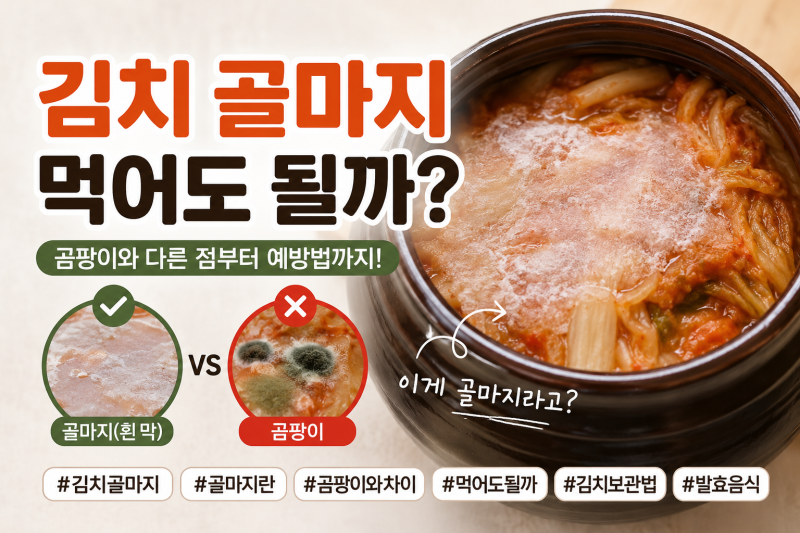 김치 골마지란? 곰팡이와 다른 점, 먹어도 될까?