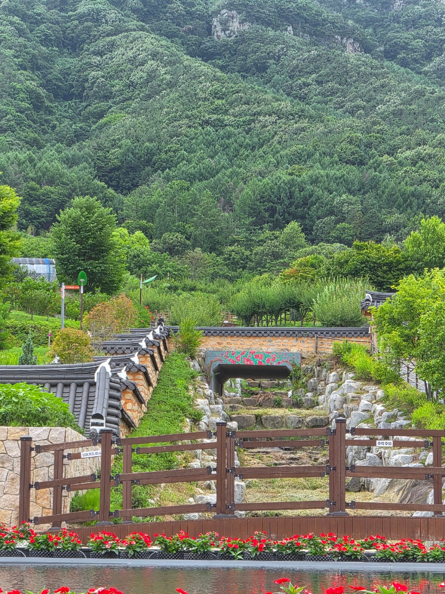 고원화목원 사진 6