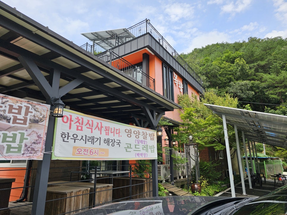 목향 사진 2