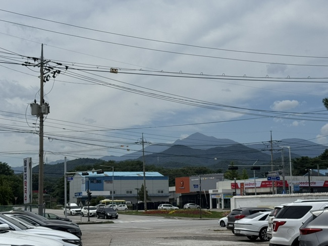 딸부자막국수 사진 2