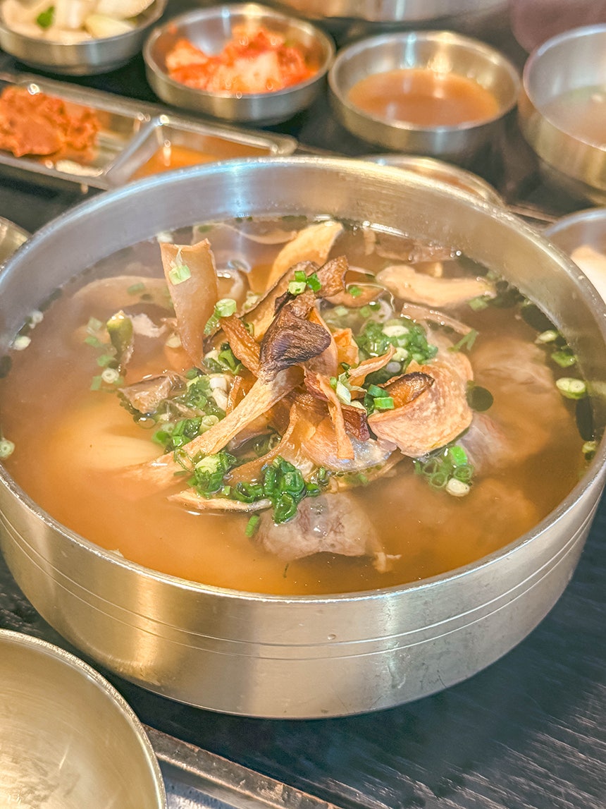 받터 사진 6