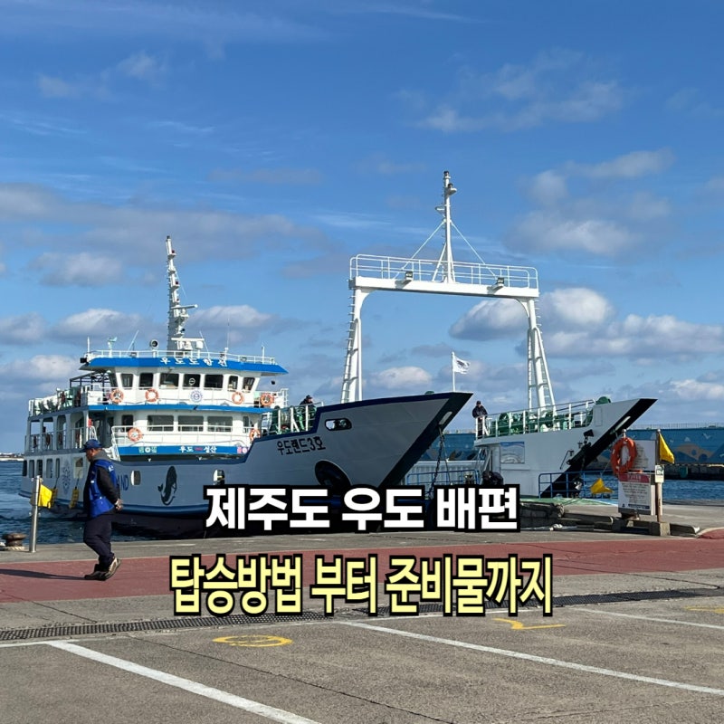 제주도 우도 배편 성산항 우도 배시간 차량승선 요금 준비물