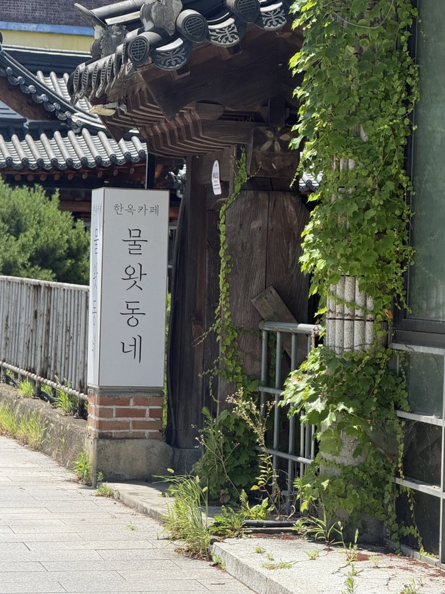 물왓동네 사진 2
