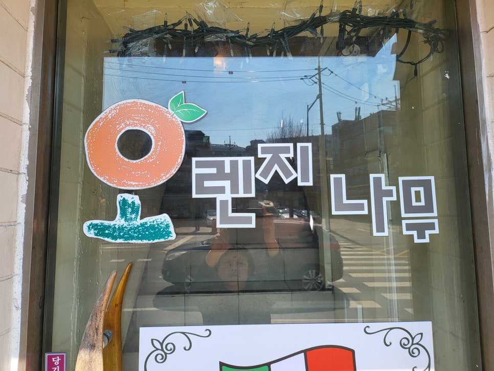 오렌지나무 사진 1